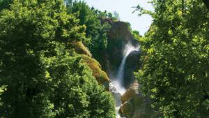 Sardasht 